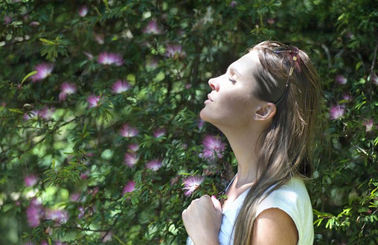 About the Vagus Nerve