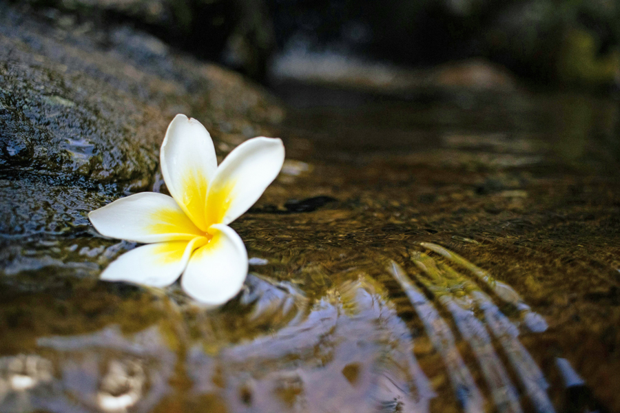 Pexels ashford marx1