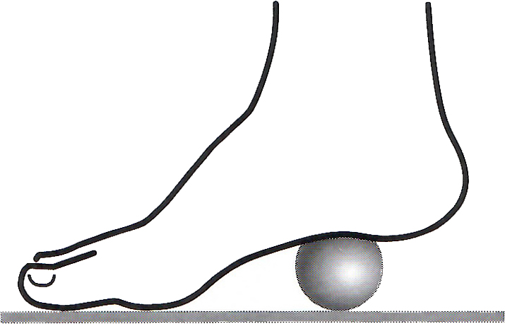 MELT FOOT Shear Direct