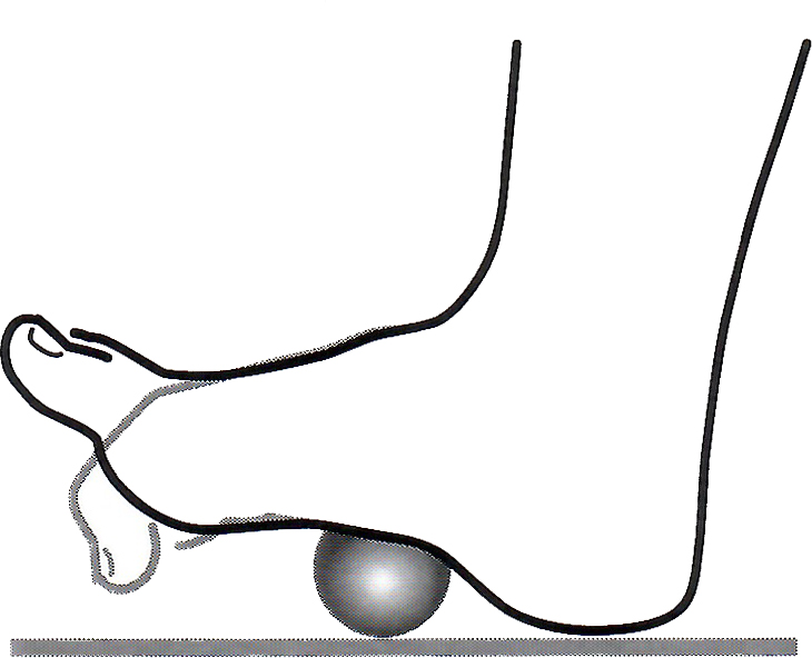 MELT FOOT Shear Indirect