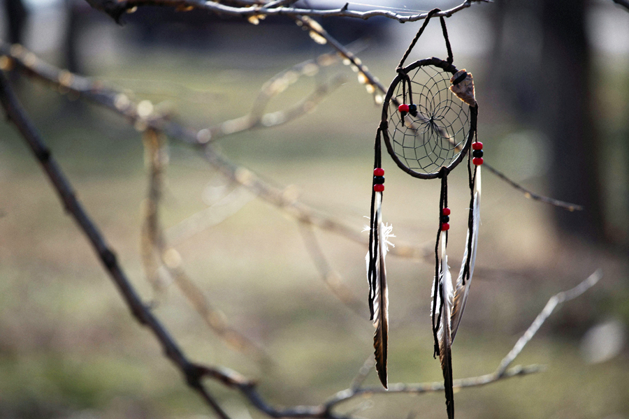 Pexels alexey demidov1