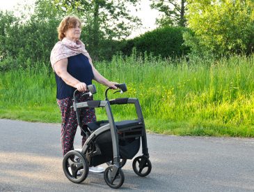 Pexels rollz international1