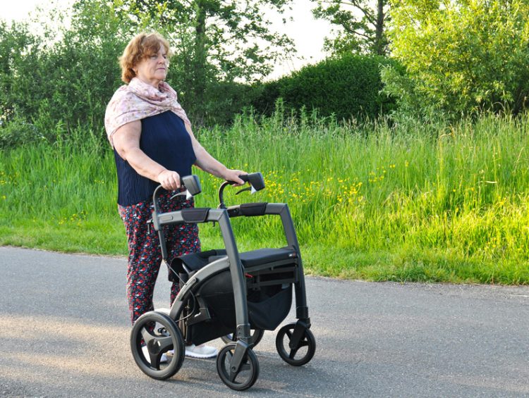 Pexels rollz international1