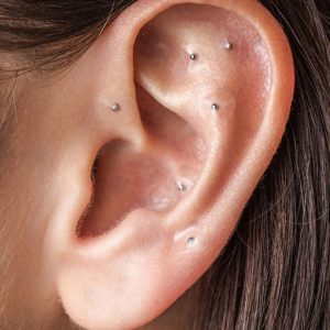 Auricle ear seeds2