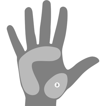 MELT HAND Shear