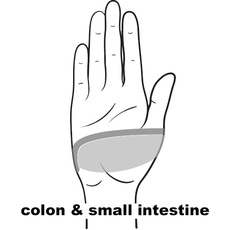 REFLEX ColonR11