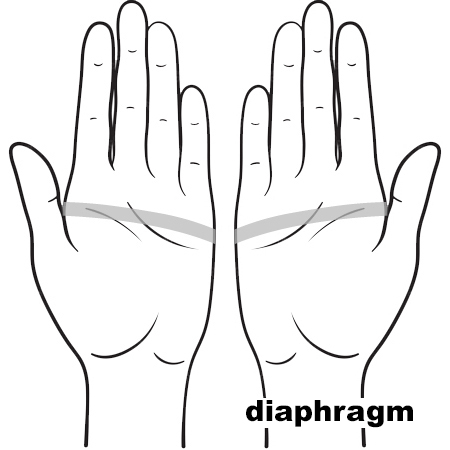 REFLEX Diaphragm11