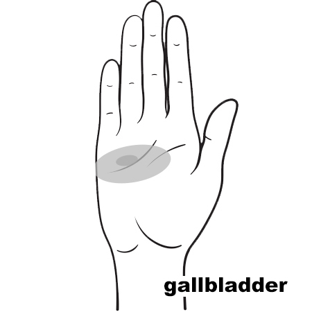 REFLEX Gallbladder11