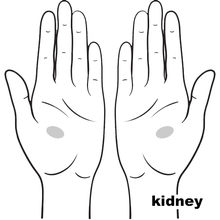 REFLEX Kidney10