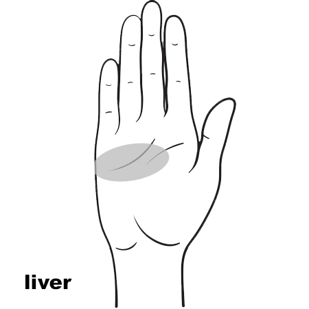 REFLEX Liver11