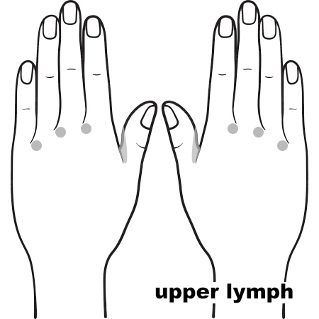 REFLEX Lymph Upper11