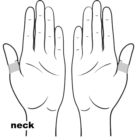 REFLEX Neck11