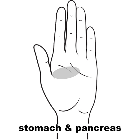 REFLEX Pancreas11