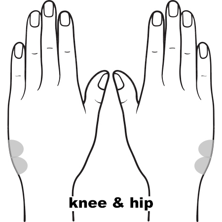 REFLEX Shoulder Knee Hip10