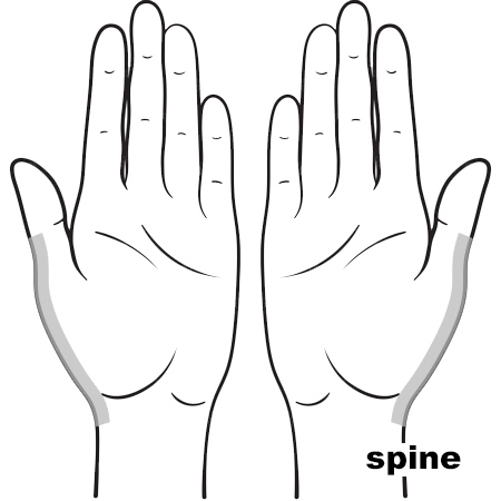 REFLEX Spine11
