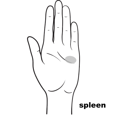 REFLEX Spleen11