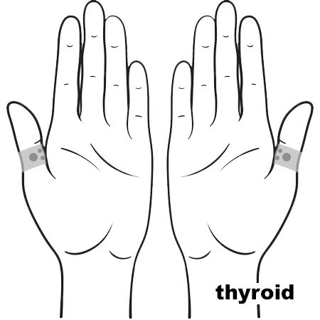 REFLEX Thyroid11