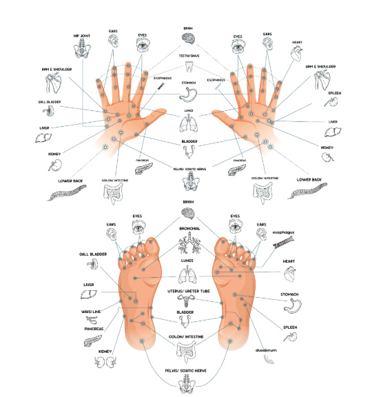 Sample Chart