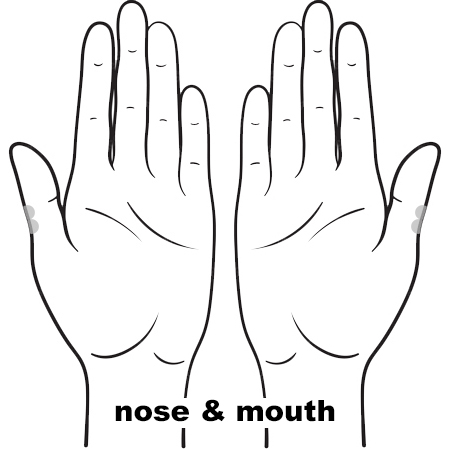 REFLEX Nose Mouth11