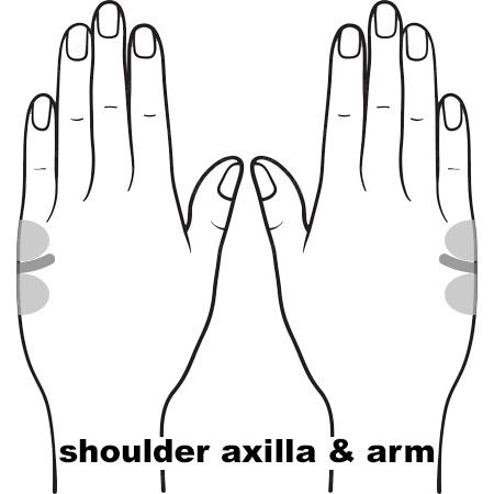 REFLEX Shoulder Axilla12