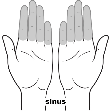 REFLEX Sinus12